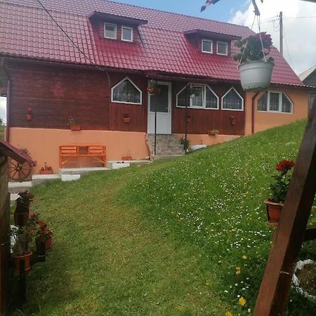Cabana Daria Gîrda de Sus Buitenkant foto