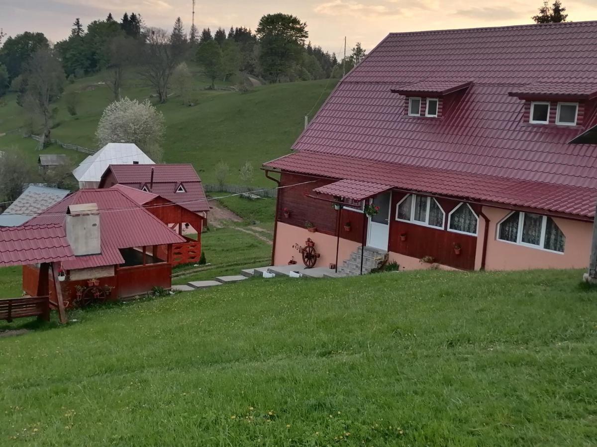 Cabana Daria Hotel Gîrda de Sus Buitenkant foto