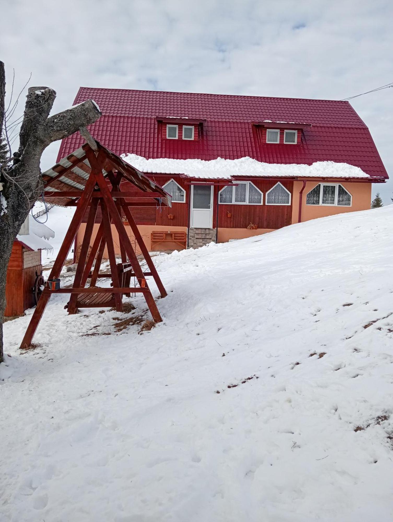 Cabana Daria Gîrda de Sus Buitenkant foto